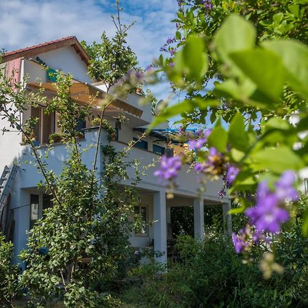 Ecer Pansiyon Kuşadası Ngoại thất bức ảnh