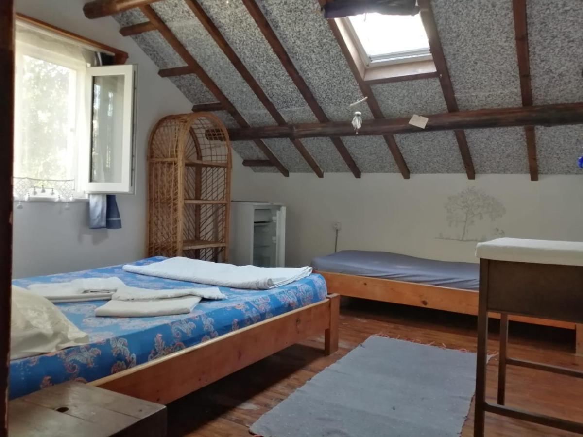Ecer Pansiyon Kuşadası Ngoại thất bức ảnh