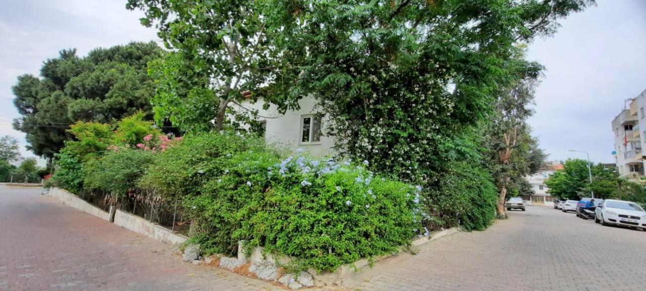 Ecer Pansiyon Kuşadası Ngoại thất bức ảnh