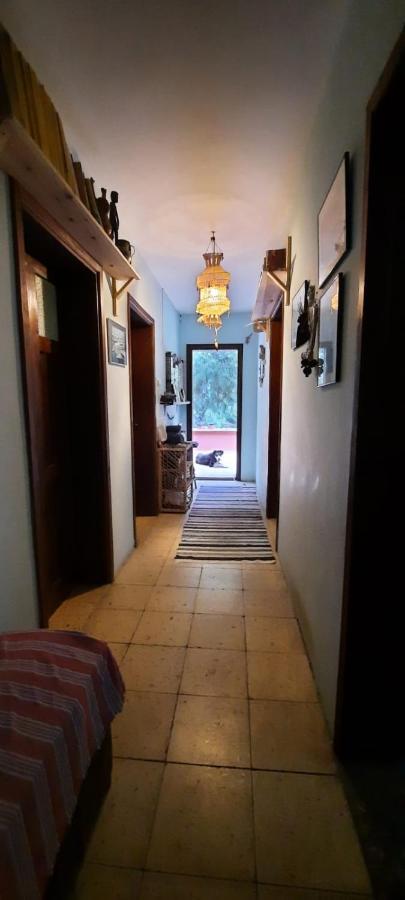 Ecer Pansiyon Kuşadası Ngoại thất bức ảnh